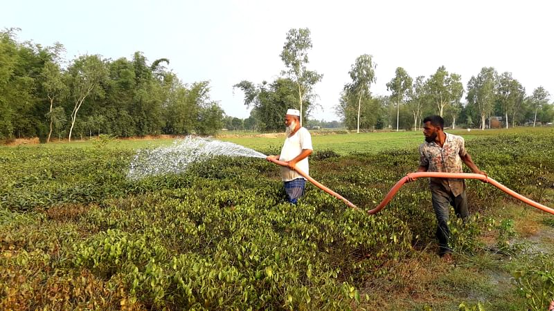 ছবি: প্রথম আলো