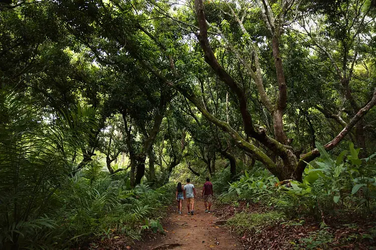 নিকোয়া উপদ্বীপ, কোস্টারিকা