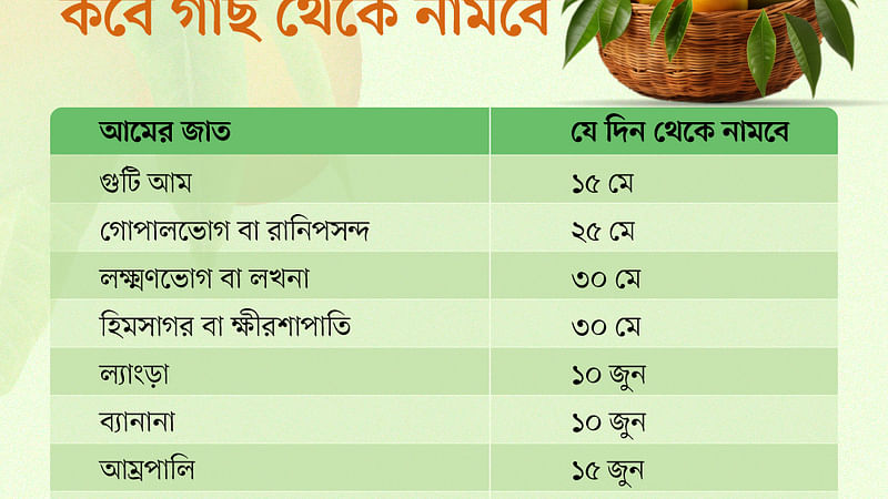 ইনফোগ্রাফিকস: প্রথম আলো