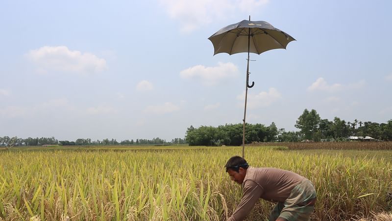 ছবি: মঈনুল ইসলাম 