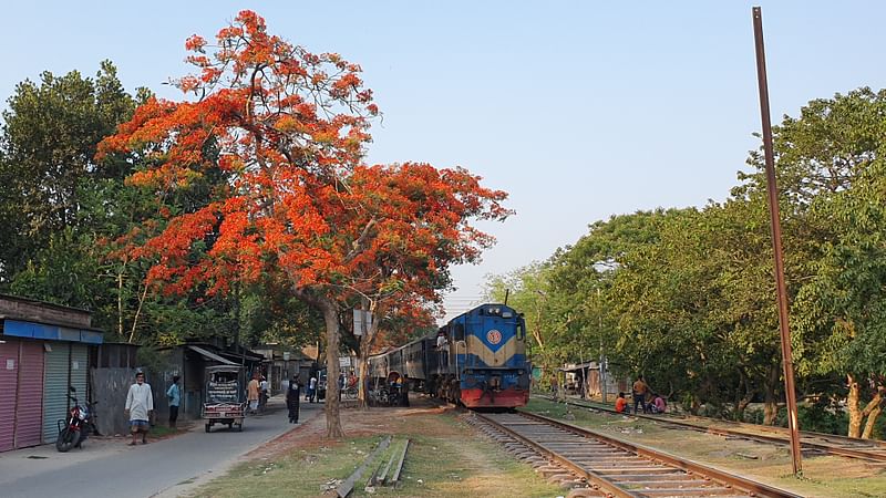 ছবি: প্রথম আলো