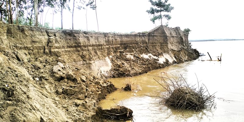জামালপুরের দেওয়ানগঞ্জে ব্রহ্মপুত্র ভাঙনের কবলে পড়ে ইতিমধ্যে কয়েকটি বসতভিটা ও কৃষিজমি নদে বিলীন হয়েছে। গতকাল মঙ্গলবার বিকেলে খোলাবাড়ি এলাকায়।ছবি: প্রথম আলো