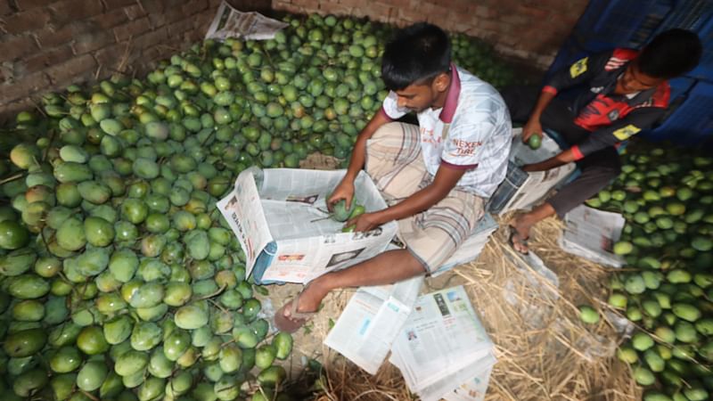 ছবি: প্রথম আলো