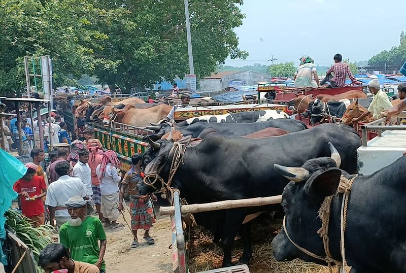 ছবি: প্রথম আলো