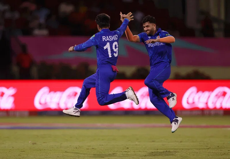 সতীর্থের সঙ্গে রশিদ খানের এই উদ্যাপন কেইন উইলিয়ামসনকে আউট করার পর