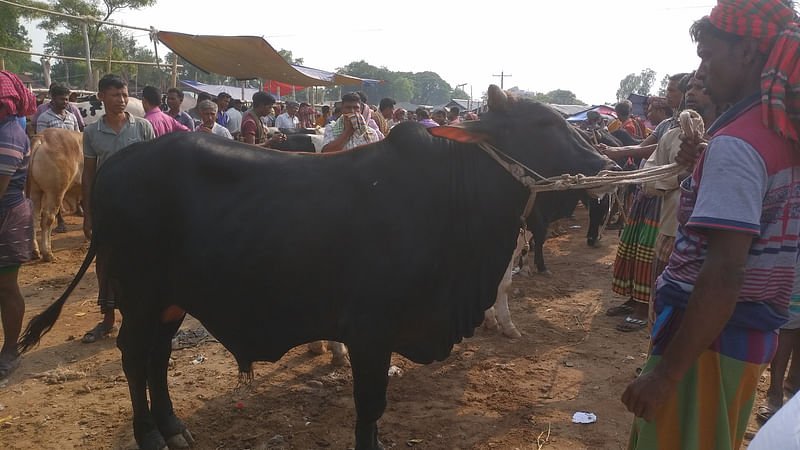 ছবি: প্রথম আলো