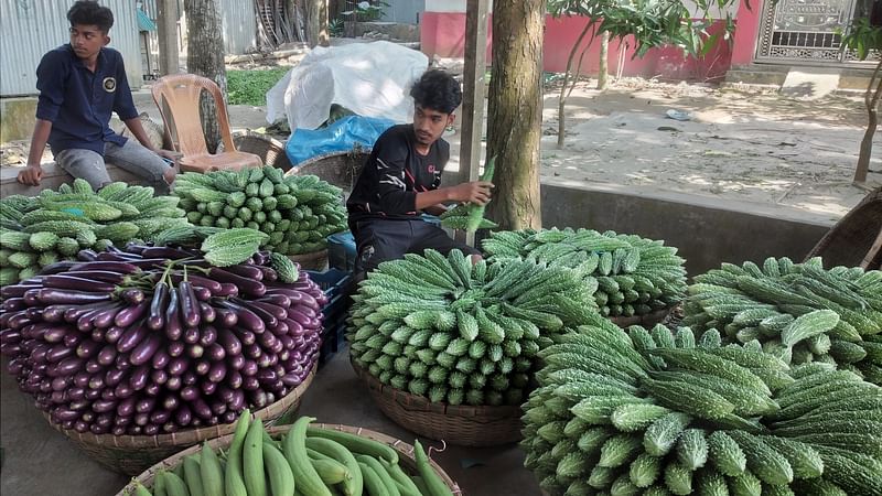 ছবি: প্রথম আলো