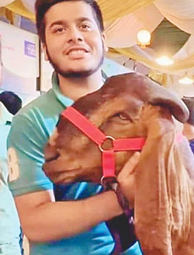 ১৫ লাখ টাকার সেই ছাগলের সঙ্গে মুশফিকুর রহমান (ইফাত)। সংগৃহীত