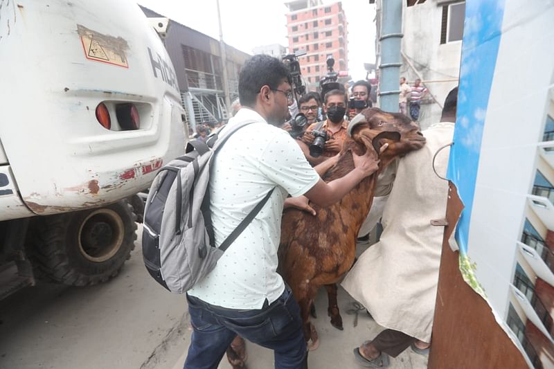উচ্ছেদ অভিযান চলাকালে ছাগল–কাণ্ডের ১৫ লাখ টাকার ছাগলসহ অন্য গবাদিপশুগুলো সরিয়ে নেওয়া হয়