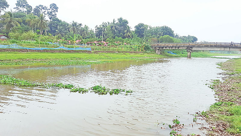 যশোরের কেশবপুরের বুড়িভদ্রা নদী পলি পড়ে ভরাট হয়ে গেছে। সম্প্রতি তোলাছবি: প্রথম আলো