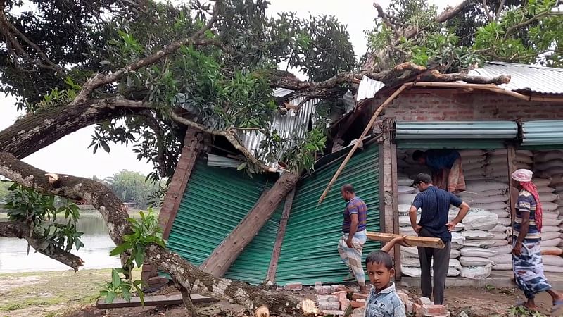 ঠাকুরগাঁওয়ের বালিয়াডাঙ্গীতে আকস্মিক ঝড়ে আধাপাকা একটি দোকানের ওপর গাছ পড়ে দোকানঘর ভেঙে গেছে। শনিবার সকালে তোলাছবি: সংগৃহীত