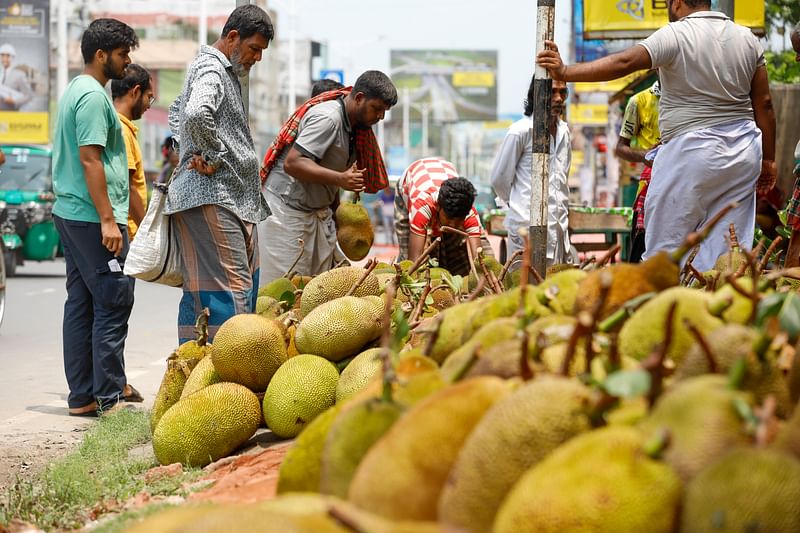 ছবি: সাদ্দাম হোসেন 