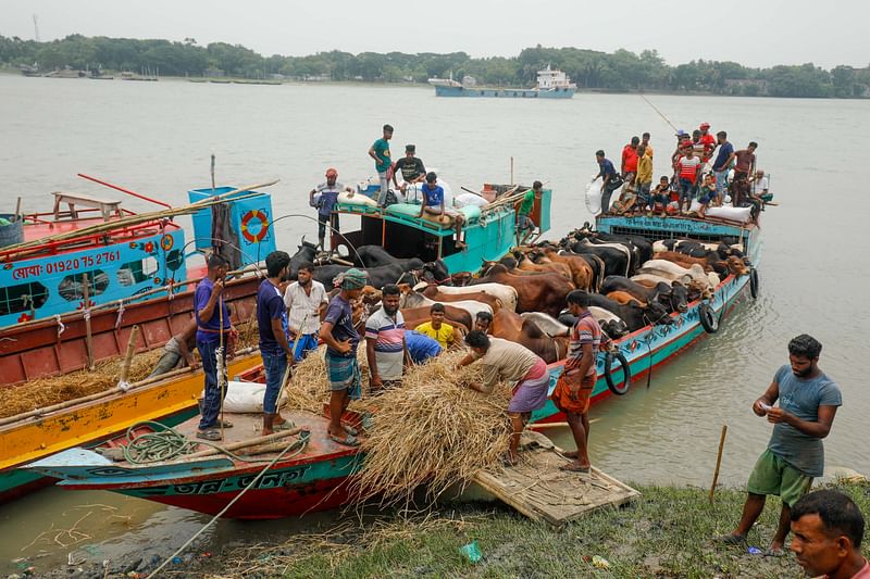 ছবি: সাদ্দাম হোসেন 