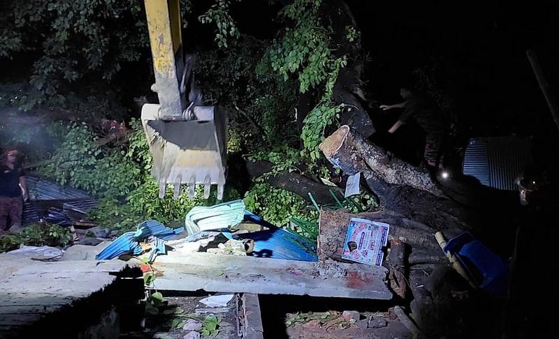 ঝড়ে গাছ উপড়ে পড়ার পর উদ্ধার কাজ চালাচ্ছে ফায়ার সার্ভিস ও পুলিশ। আজ মঙ্গলবার রাতে রাজশাহীর বাঘা উপজেলার চকবাউশা গ্রামের রাজার মোড়েছবি: প্রথম আলো