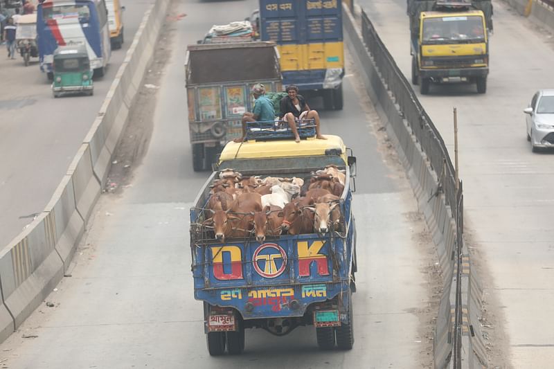 ছবি: দিনার মাহমুদ।