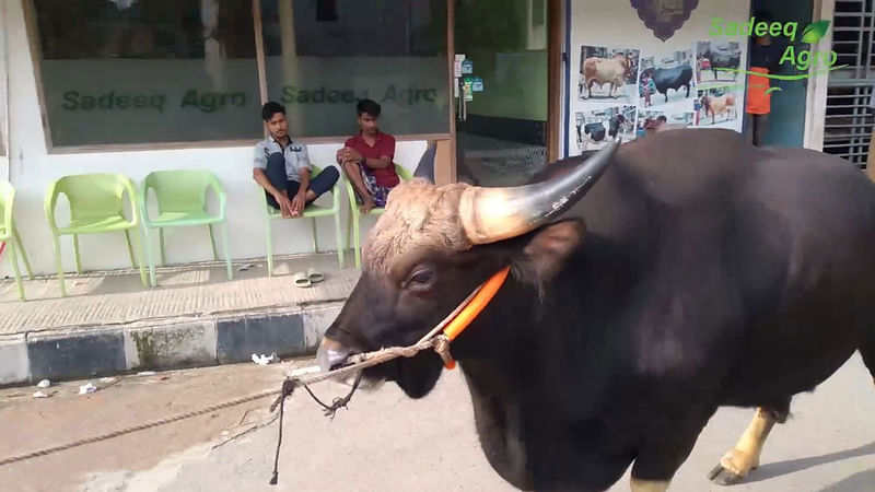 ছবি: ফেসবুক থেকে নেওয়া