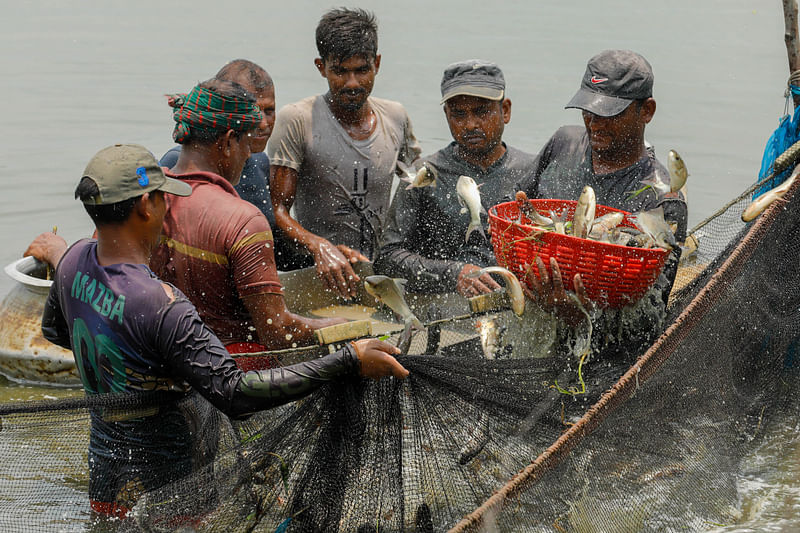 ছবি: সাদ্দাম হোসেন 