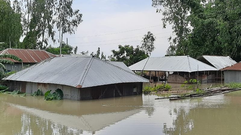  ছবি: জাহানুর রহমান