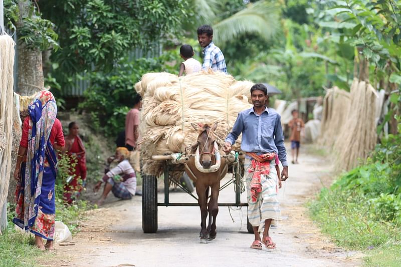 ছবি: আলীমুজ্জামান 