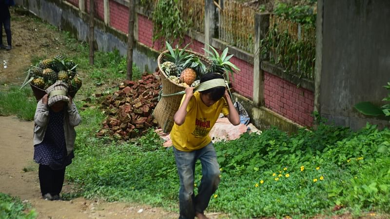 বাগান থেকে আনারসভর্তি থুরুং মাথায় চাপিয়ে নিয়ে আসছেন মা ও ছেলে।