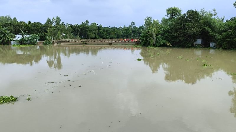 ছবি: প্রথম আলো