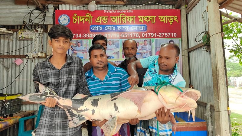 ছবি: প্রথম আলো