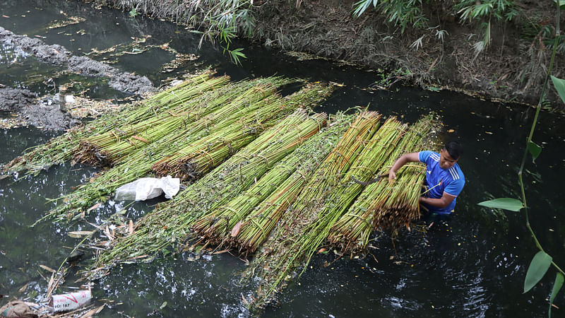 ছবি: শহীদুল ইসলাম