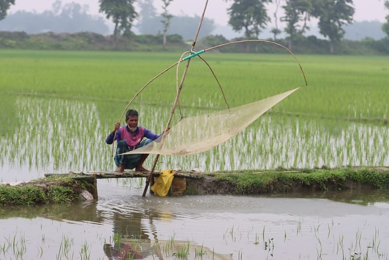 ছবি: মঈনুল ইসলাম 