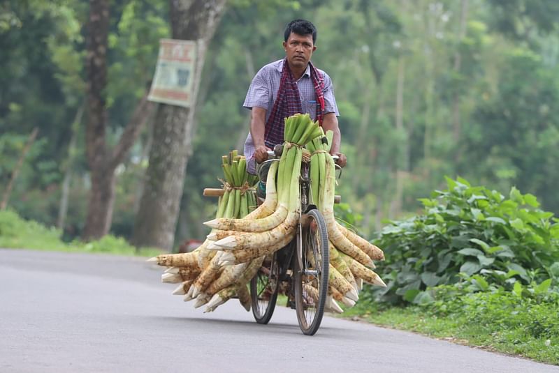 ছবি: মঈনুল ইসলাম