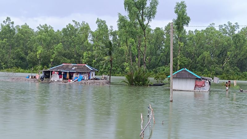 ছবি: প্রথম আলো