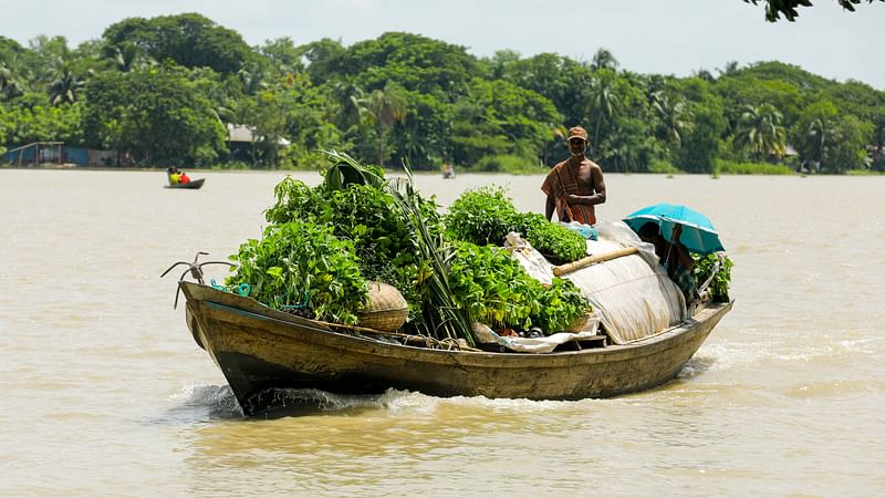 ছবি: সাদ্দাম হোসেন