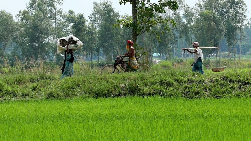 শালমরা চরায় কাজ শেষে বাড়ি ফিরছেন দুই ব্যক্তি। জ্বালানি সংগ্রহ করে বিপরীত দিক দিয়ে আসছেন এক নারী