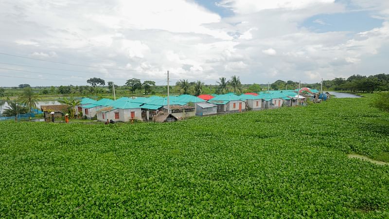 কচুরিপানায় ভর্তি শেয়ারঘাটা মরা নদীর পাশের আশ্রয়ণ প্রকল্প।