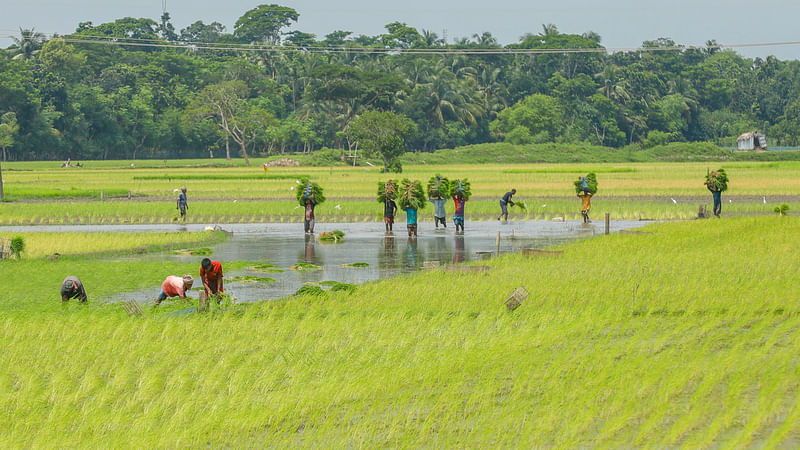 ছবি: সাদ্দাম হোসেন