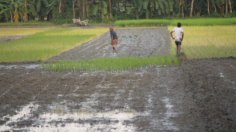  ছবি: প্রথম আলো