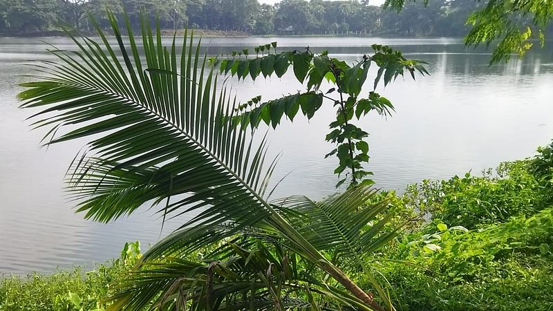 ছবি: প্রথম আলো