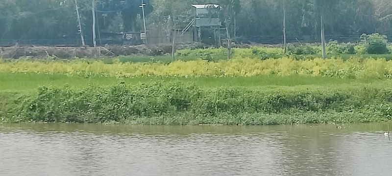 পাঁচবিবি উপজেলার উচনা-সোনাতলা সীমান্তে ভারতের অংশের ১৫০ গজের ভেতরে কাঁটাতারের বেড়া নির্মাণ করেছে বিএসএফ