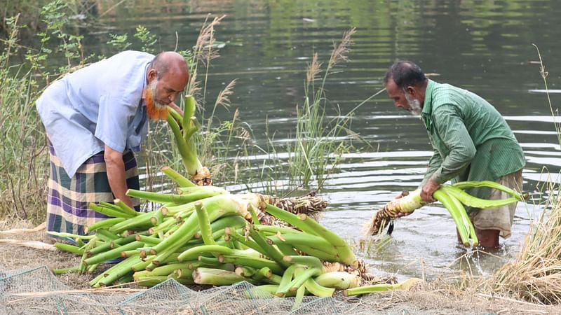  ছবি: আলীমুজ্জামান