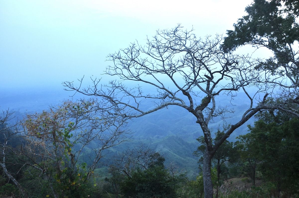 দুচোখ মেলে দেখার মত