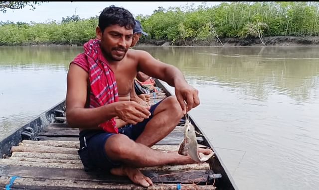 সুন্দরবনের খালে নৌকায় বসে বড়শি থেকে মাছ ছাড়িয়ে নিচ্ছেন এক জেলে