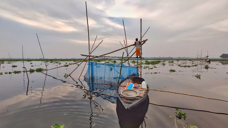 ছবি: হাসান মাহমুদ  