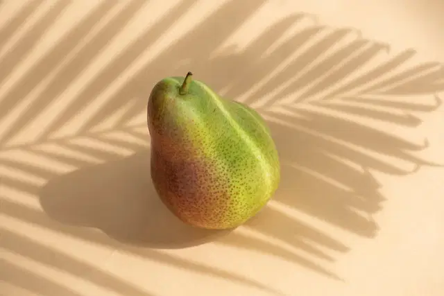 নাশপাতি