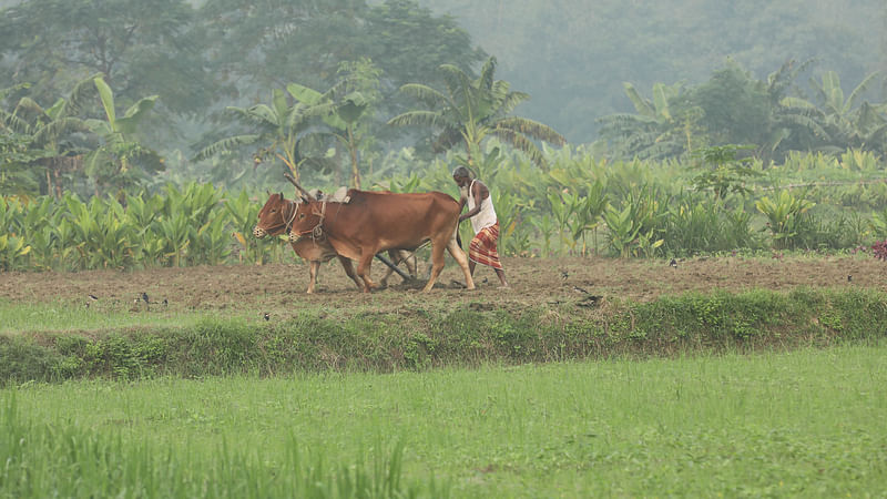  ছবি: সোয়েল রানা