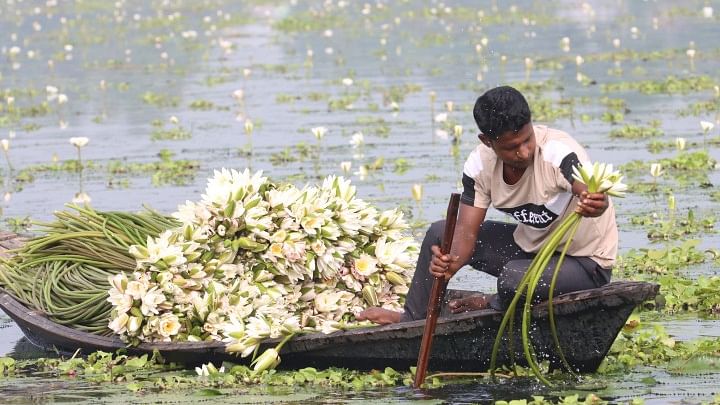 ছবি: আলীমুজ্জামান