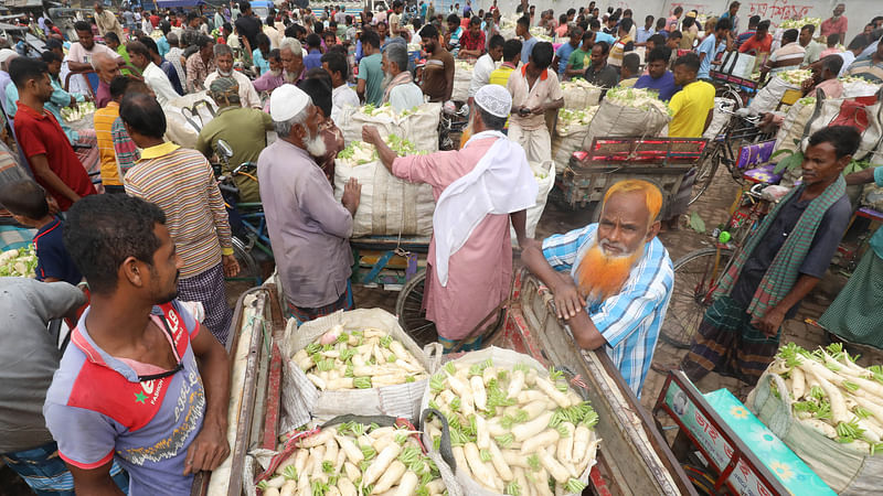 মোকামে মুলা তোলা হয়েছে। প্রতি মণ মুলা পাইকারিতে ১ হাজার ৪০০ থেকে ১ হাজার ৮০০ টাকায় বিক্রি হচ্ছে।