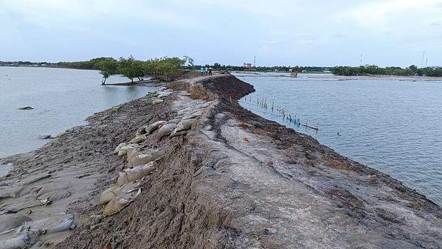 খুলনার কয়রা উপজেলার মদিনাবাদ এলাকায় সদ্য নির্মিত এ বাঁধ ধসে গিয়ে ভাঙনের ঝুঁকিতে পড়েছে। এতে প্লাবিত হওয়ার আশঙ্কা করছেন গ্রামবাসী। আজ মদিনাবাদ এলাকায়