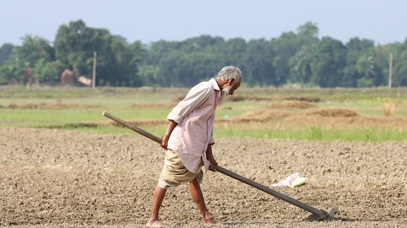 ছবি: আলীমুজ্জামান