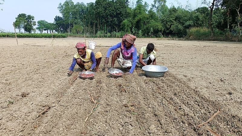 ছবি: প্রথম আলো