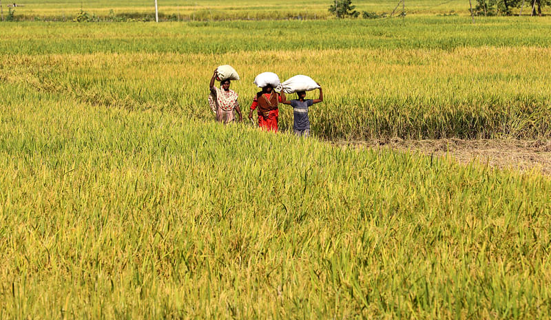 ছবি: সোয়েল রানা  