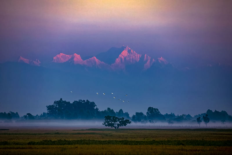 ভোরের প্রথম আলো পড়ছে কাঞ্চনজঙ্ঘার চূড়ায়।